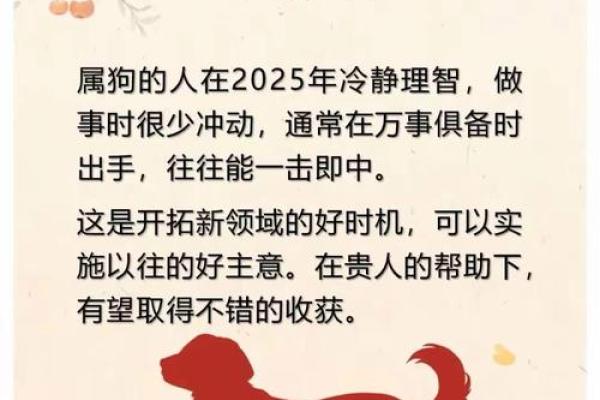 败子回头金不换代表什么生肖  词语释义解释落实