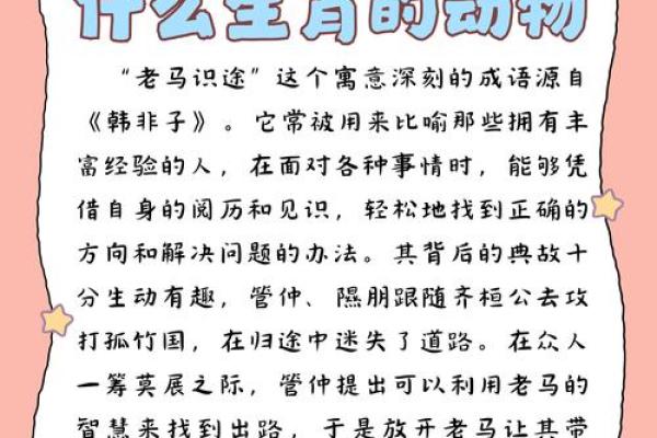 堂堂正正代表什么生肖，有什么性格特点  