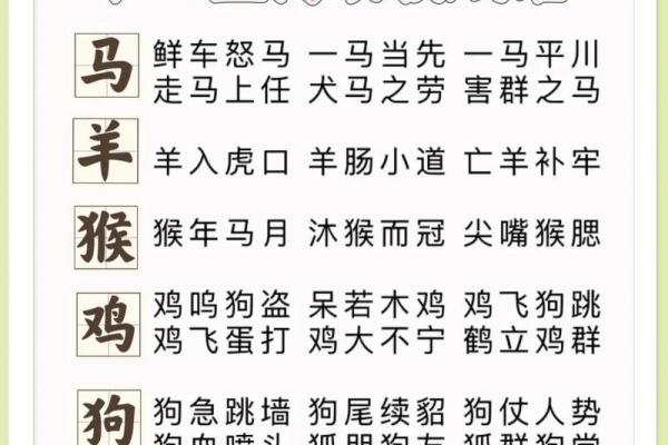勾三搭四打一个生肖  词语释义解释落实