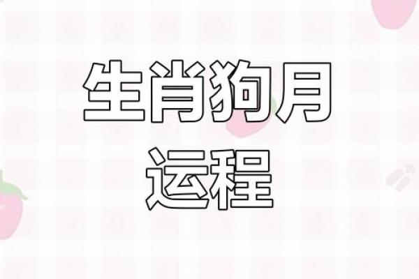2023年属狗者打麻将黄道吉日挑选与忌讳时辰得把眼睛擦亮了