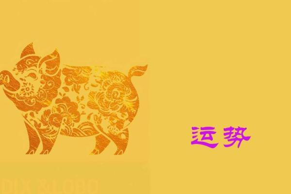 伶牙俐齿的生肖性格解析与运势关联  