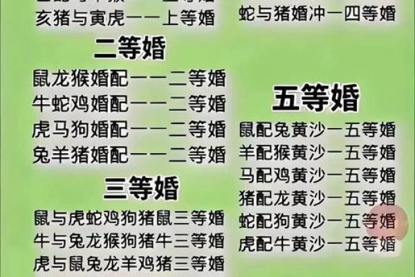 属兔男最佳婚配属相  词语释义解释落实