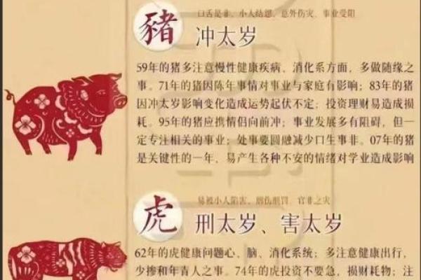 斜风细雨打一个生肖  词语释义解释落实