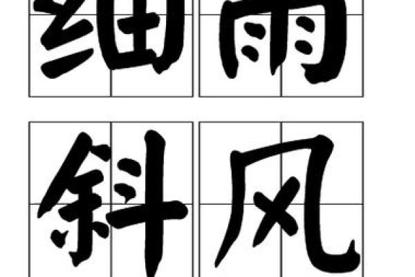 斜风细雨打一个生肖  词语释义解释落实