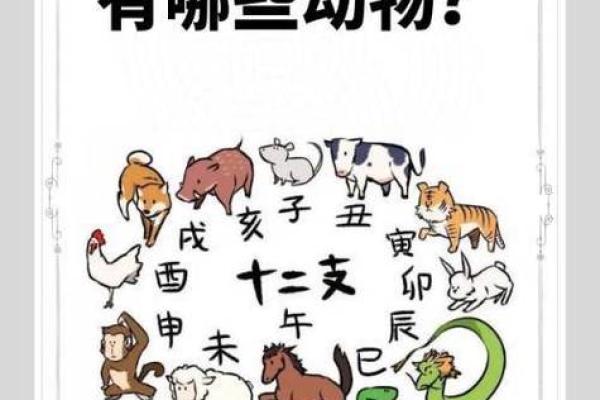杀鸡儆猴对应的生肖动物是哪个有什么民间传说  