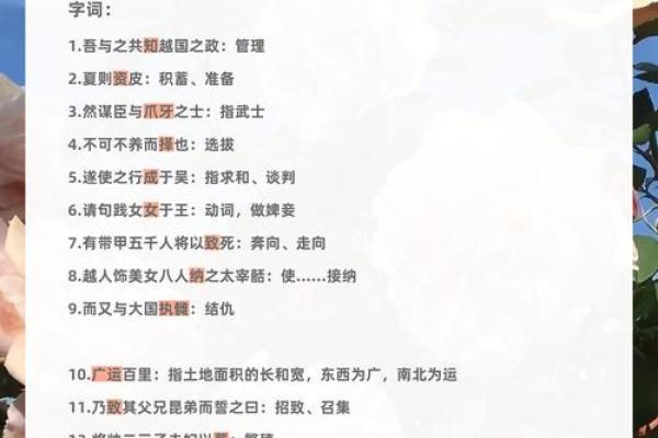 爪牙之士打正确动物  词语释义解释落实