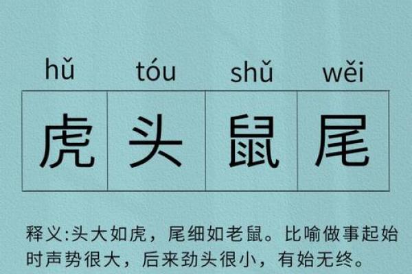 鼠肚鸡肠打一正确生肖  词语释义解释落实