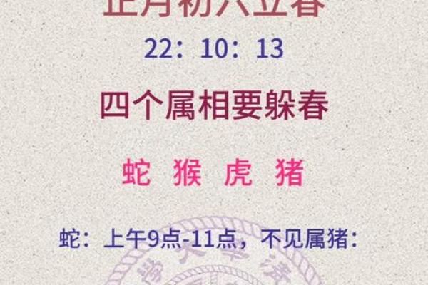 1977年属相  词语释义解释落实