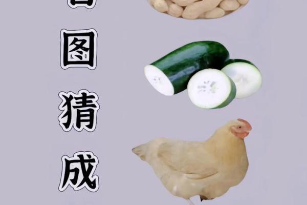 声东击西是指哪一生肖  词语释义解释落实