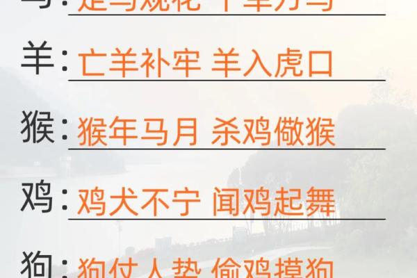 恶贯满盈打一动物生肖最佳答案  词语释义解释落实