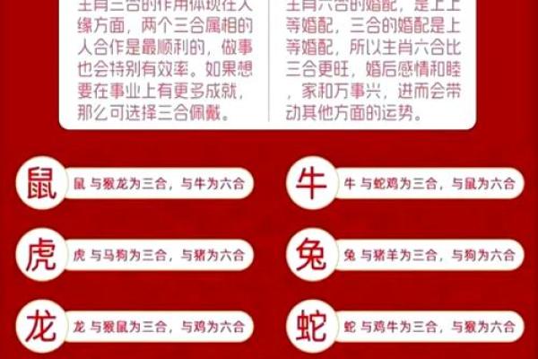 一年四季分别对应哪些生肖的运势解析  