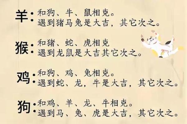 前车之鉴对应的生肖动物有哪些解释  