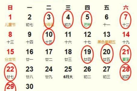2025年农历五月结婚黄道吉日查询，哪几天最适合办婚礼庆典？