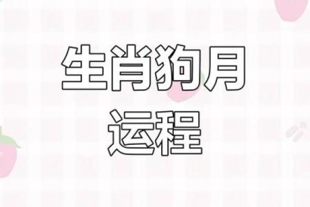 2023年属狗者打麻将黄道吉日挑选与忌讳时辰得把眼睛擦亮了