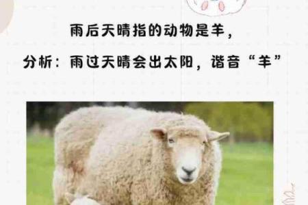 金屋藏娇对应的生肖动物及其寓意解析  