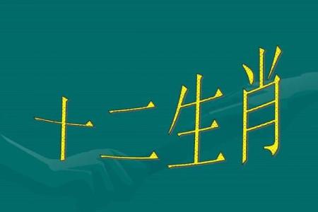 揭不开锅是什么生肖  词语释义解释落实