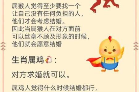 属兔男最佳婚配属相  词语释义解释落实