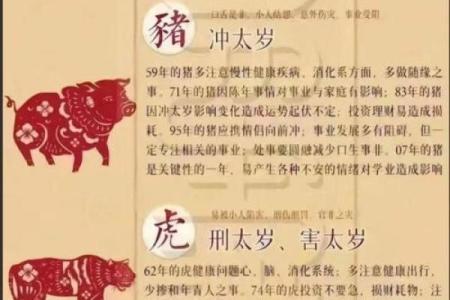 斜风细雨打一个生肖  词语释义解释落实