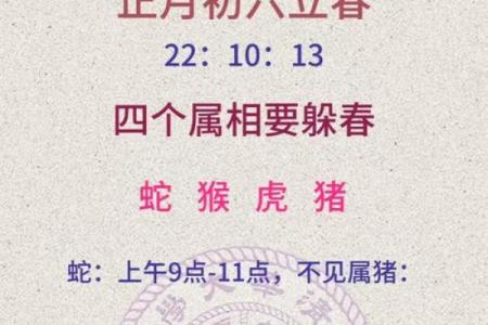 1977年属相  词语释义解释落实