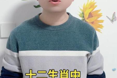 兵荒马乱对应的生肖动物有哪些寓意解析  