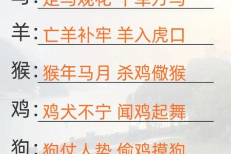 恶贯满盈打一动物生肖最佳答案  词语释义解释落实