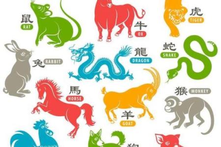 前车之鉴对应的生肖动物有哪些解释  