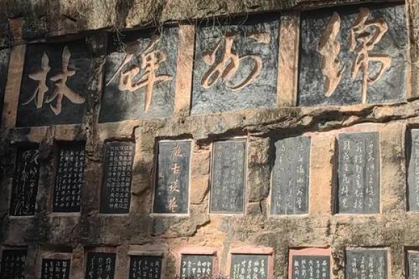 金戈铁马打一生肖的谜底是什么生肖  