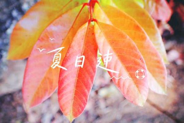 万绿丛中红一点红指的是哪个生肖的谜语解析  