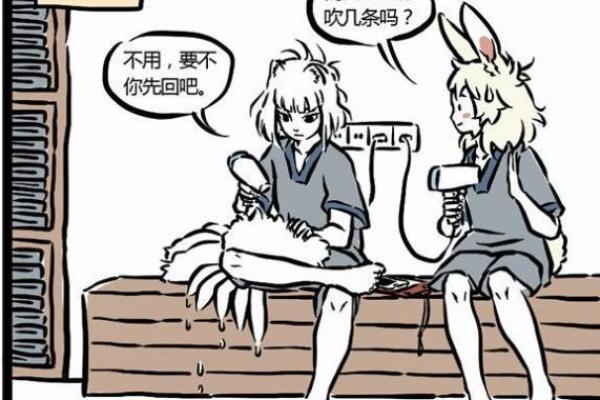 尾巴难藏打一生肖，最准的谜底解析  