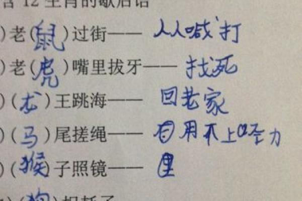 三更半夜打一生肖是什么答案及解析  