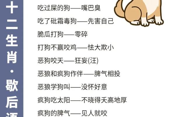 菩萨心肠是什么生肖动物  词语释义解释落实