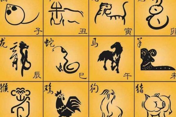 八骏日行三万里对应的生肖动物是什么  