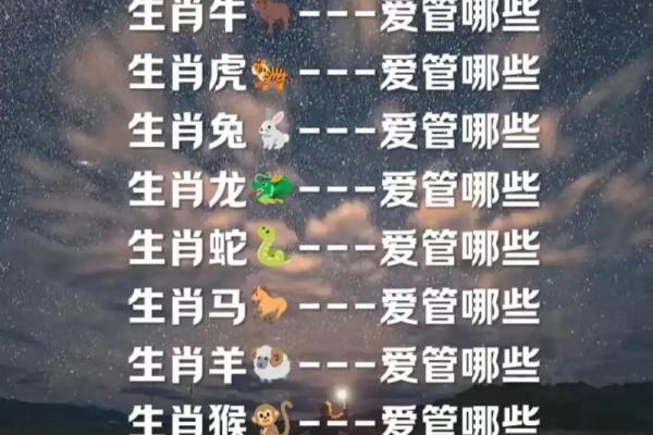 六月出生的男孩生肖运势如何查询  