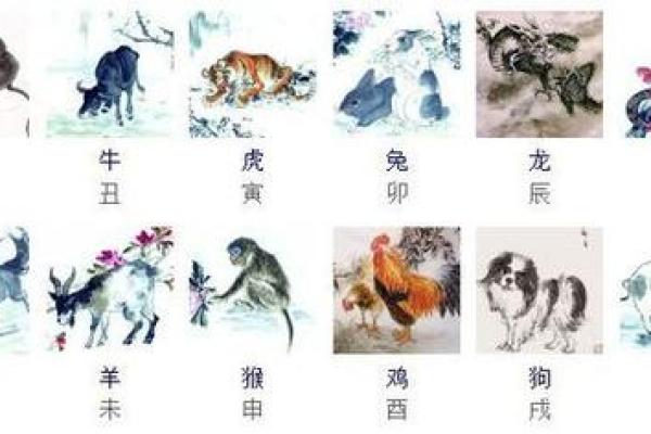 金屋藏娇在十二生肖中代表哪个动物  