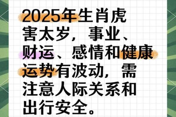 属虎的人2024年虚岁和周岁分别是多少  