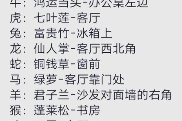 一举成名代表什么生肖，有什么寓意和象征  