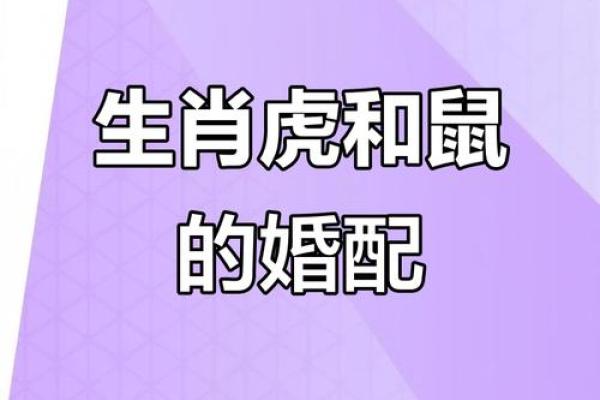 富贵三更梦象征哪个生肖，民间传说与命理分析  