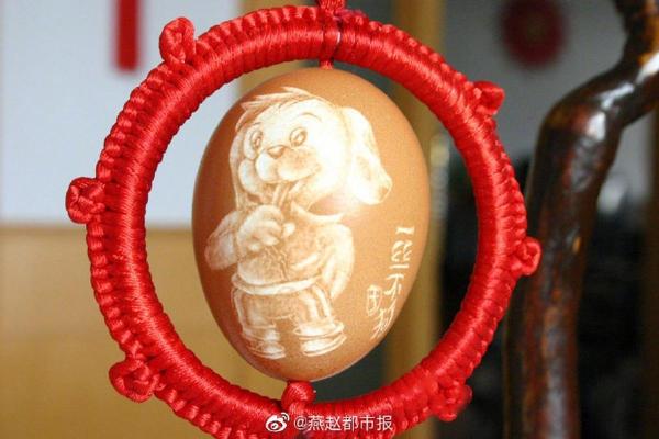 出生蛋壳体虽轻是什么生肖  词语释义解释落实
