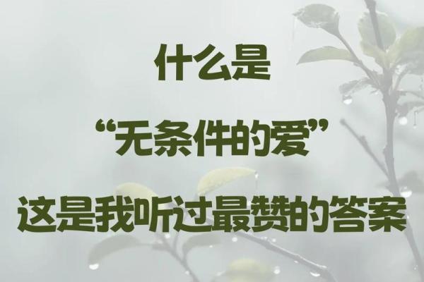 日落西山代表什么生肖最准确答案  