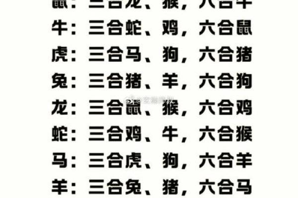 三教九流与十二生肖的关联性解析及文化背景  