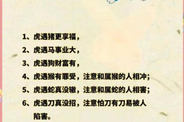 文人是什么生肖  词语释义解释落实