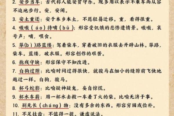 皓月千里是什么生肖  词语释义解释落实