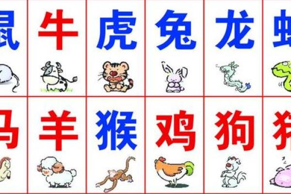 臭名远扬是什么生肖  词语释义解释落实