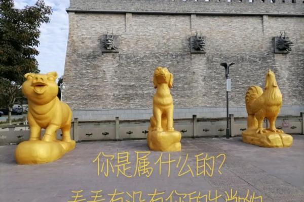 天降祥瑞  词语释义解释落实
