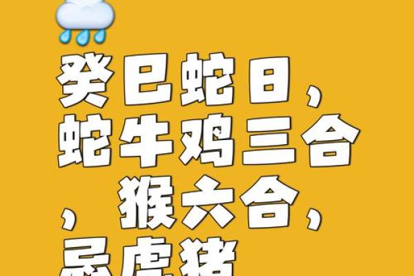 克风沐雨蛇变化对应的生肖是什么  