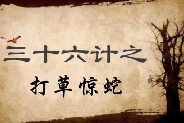 打草惊蛇打一个生肖谜底解析及生肖文化寓意详解  