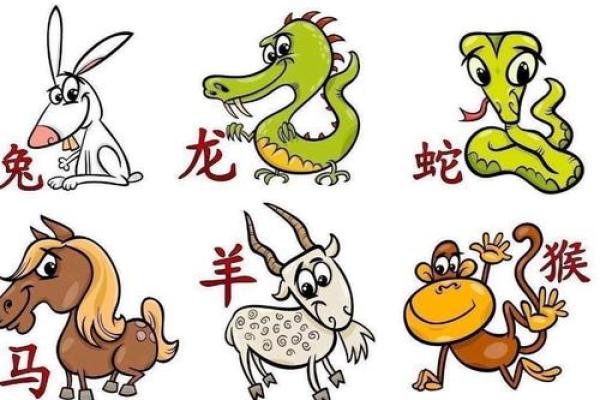 高人一等的生肖有哪些特征和寓意  
