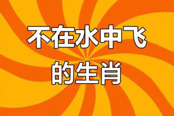天高云淡在十二生肖中代表哪个动物  