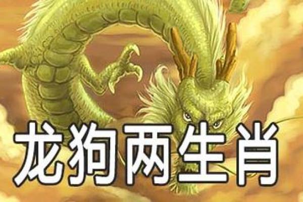 一战成名代表什么生肖，有什么说法和依据  