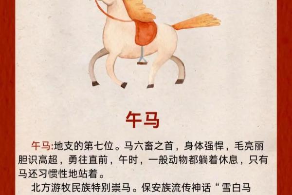 重出江湖代表什么生肖 今年运势如何  